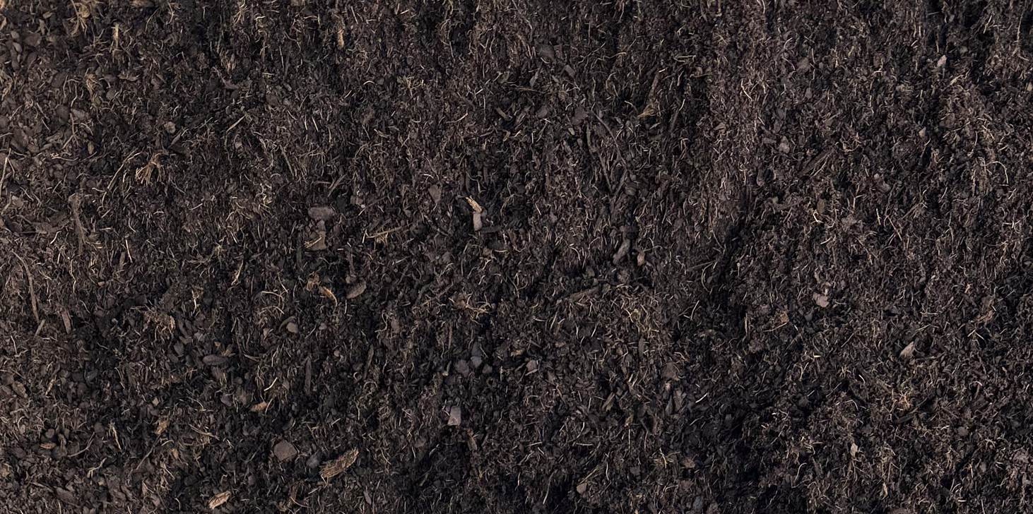 Composto de casca de pinus curado, em detalhe